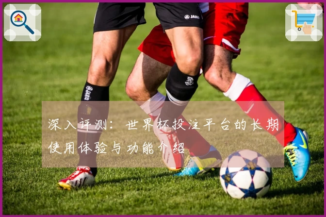 深入评测：世界杯投注平台的长期使用体验与功能介绍