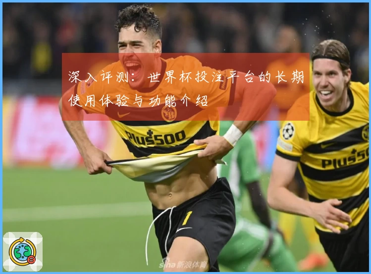 深入评测：世界杯投注平台的长期使用体验与功能介绍